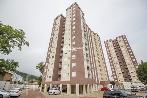Image 37 - 264559